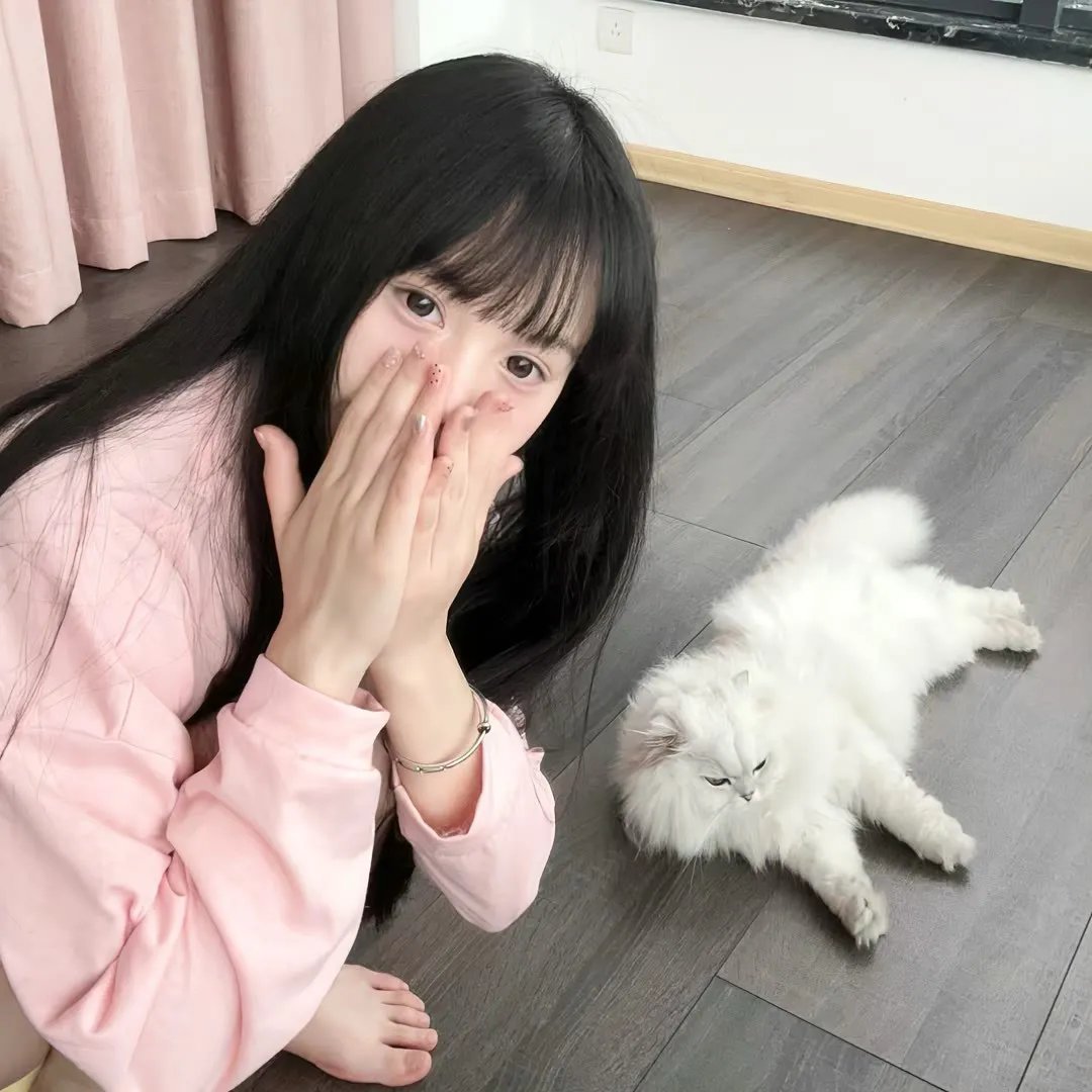 新贵 第三季